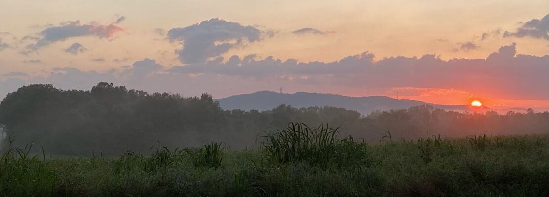 In the morning, O LORD, You will hear my voice; In the morning I will order my prayer to You and eagerly watch. Psa 5:3